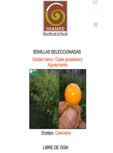 Semillas de Aguaymanto Ecotipo Celendino (para 500 plantas)