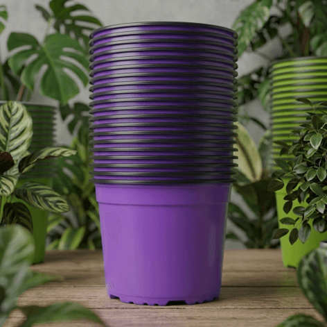 Macetero de plástico redondo en color morado